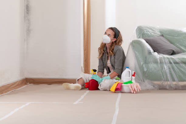 Reliable Mold Cleanup contractor in New Buffalo, MI by WQB Mold Removal